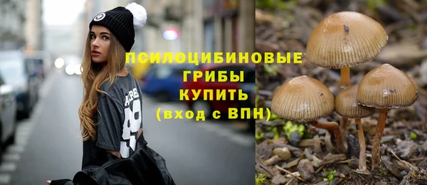 ГАЛЛЮЦИНОГЕННЫЕ ГРИБЫ Вязьма