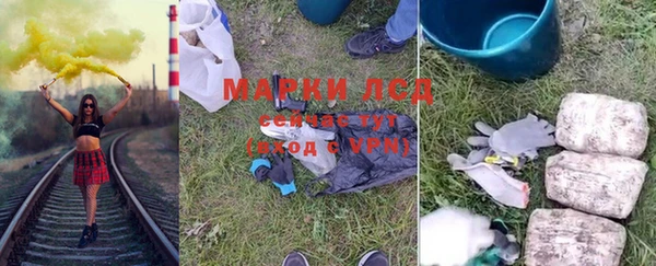 ГАЛЛЮЦИНОГЕННЫЕ ГРИБЫ Вязьма