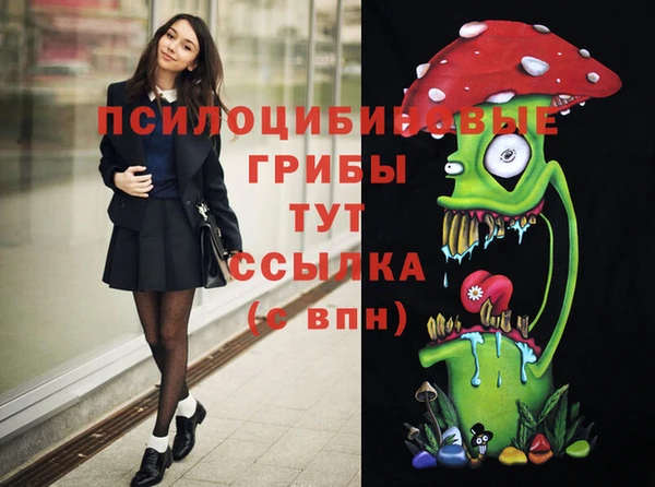 a pvp Вязники