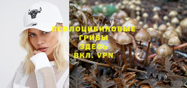 a pvp Вязники