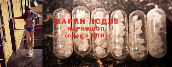 ГАЛЛЮЦИНОГЕННЫЕ ГРИБЫ Вязьма