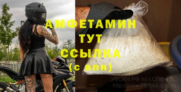 ГАЛЛЮЦИНОГЕННЫЕ ГРИБЫ Вязьма
