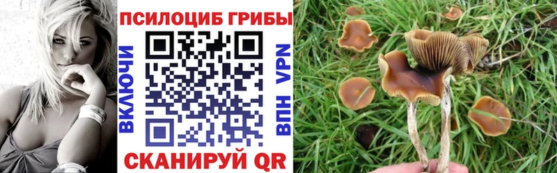 Галлюциногенные грибы Magic Shrooms Мценск